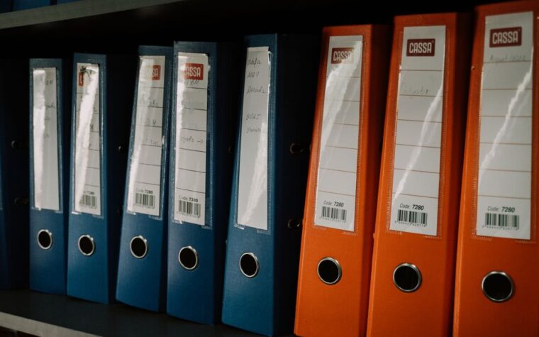 Cómo armar un catálogo mayorista: Márgenes de ganancia ideales para venderle volumen a locales de decoración.